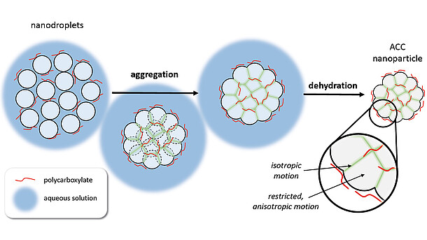 inorganic chemistry thesis